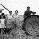 559_Harvesting1940.jpg