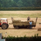 306 hay making Spr Lane Farm.jpg